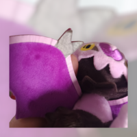 Authentic Pokemon Center Pokemon fit plush Noibat 19cm (wide) Collectors item